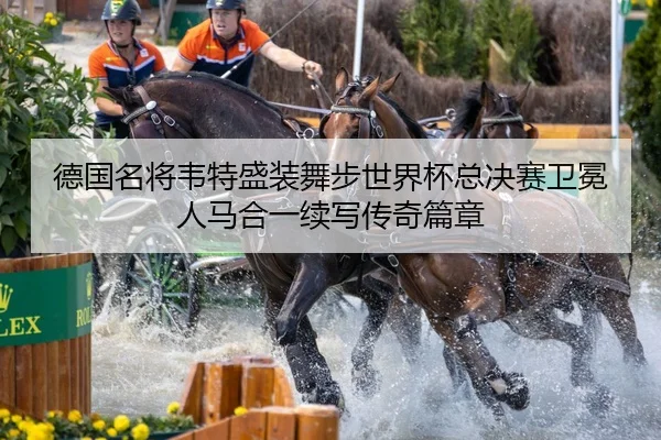 de-guo-ming-jiang-wei-te-sheng-zhuang-wu-bu-shi-jie-bei-zong-jue-sai-wei-mian-ren-ma-he-yi-xu-xie-chuan-qi-pian-zhang-2-739.jpg